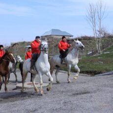 В Сайраме кокпарщики приняли участие в референдуме за будущее страны