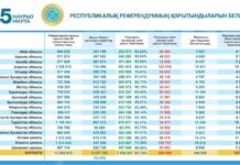 Более 87% — «за»: в Казахстане приняли новую Конституцию