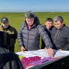 В Туркестанской области усиливают борьбу с мароккской саранчой