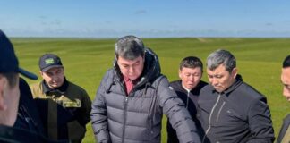 В Туркестанской области усиливают борьбу с мароккской саранчой