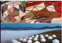 В Туркестанской области обсудили новые туристические проекты с китайскими инвесторами