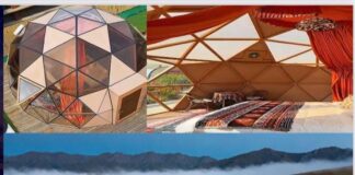 В Туркестанской области обсудили новые туристические проекты с китайскими инвесторами