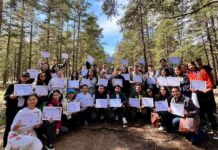 Волонтёры Казахстана посадили более 300 тысяч деревьев