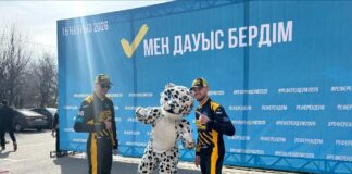 В Қонаеве на референдум пришёл избиратель в образе снежного барса