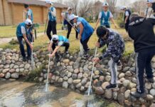 В Шымкенте провели субботник в рамках акции «Мөлдір бұлақ»