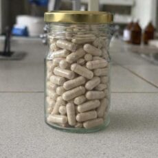 Казахстанские учёные создают отечественную добавку для поддержки иммунитета