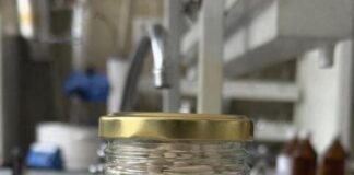 Казахстанские учёные создают отечественную добавку для поддержки иммунитета