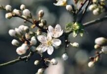 В Казахстане потеплеет, но погода останется переменчивой