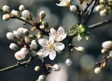 В Казахстане потеплеет, но погода останется переменчивой