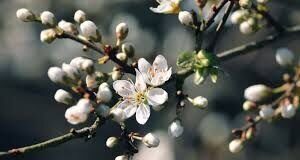 В Казахстане потеплеет, но погода останется переменчивой