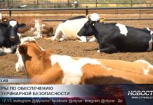В Туркестанской области усиливают меры по ветеринарной безопасности