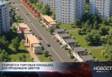 В городе появятся специальные киоски для продажи цветов