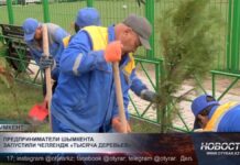 В Шымкенте стартовал челлендж по озеленению города