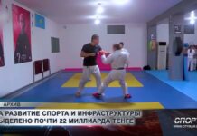 В Шымкенте на спорт выделено около 22 млрд тенге