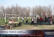 Шымкент празднует Наурыз: традиции, культура и единство