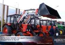 В Туркестане рассмотрены меры по развитию агропромышленного комплекса