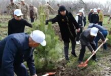 Родники Туркестана очищают в рамках «Таза Қазақстан»