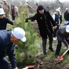Родники Туркестана очищают в рамках «Таза Қазақстан»