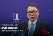 Энергетика и логистика станут драйверами роста торговли между РК и РФ