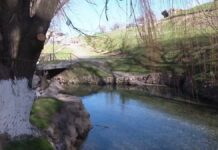 «Таза Қазақстан»: Олжас Бектенов принял участие в акции «Мөлдір бұлақ»