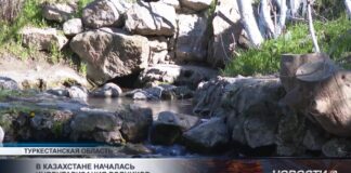 В Казахстане началась инвентаризация родников