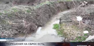 После жалоб на сброс стоков, завод «ФудМастер» предоставил официальный комментарий