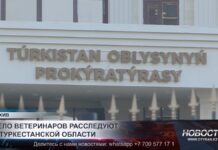 Дело ветеринаров расследуют в Туркестанской области