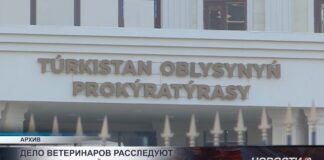 Дело ветеринаров расследуют в Туркестанской области