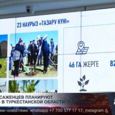 Миллион саженцев планируют посадить в Туркестанской области