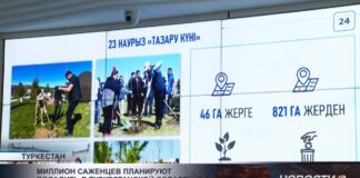 Миллион саженцев планируют посадить в Туркестанской области