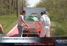 В Шымкенте идет дезинсекция от комаров и клещей