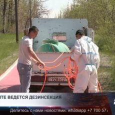 В Шымкенте ведется дезинсекция от комаров и клещей