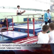 В Шымкенте прошёл открытый Чемпионат по спортивной гимнастике