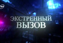 В Шымкенте предпринимателей штрафуют за нарушение правил продажи алкоголя