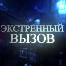 В Шымкенте предпринимателей штрафуют за нарушение правил продажи алкоголя