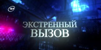 В Шымкенте предпринимателей штрафуют за нарушение правил продажи алкоголя