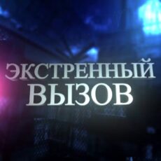 Ночной рейд в Аль-Фарабийском районе: выявлены факты оказания интимных услуг