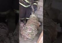 В Туркестанской области спасатели вытащили ребенка из уличного туалета