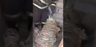 В Туркестанской области спасатели вытащили ребенка из уличного туалета