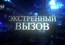 Lexus с фальшивыми номерами изъят у водителя-нарушителя