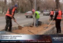 В Шымкенте высадят около четырёх миллионов цветов