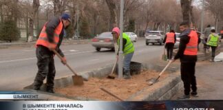 В Шымкенте высадят около четырёх миллионов цветов