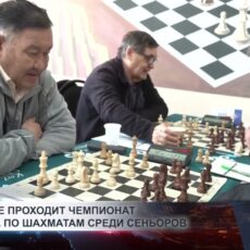 В Шымкенте проходит чемпионат Казахстана по шахматам среди сеньоров