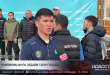 Боксеры проголосовали в Туркестанской области