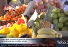 Альтернатива рынкам и супермаркетам: как работает сельхозярмарка в Шымкенте