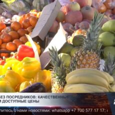 Альтернатива рынкам и супермаркетам: как работает сельхозярмарка в Шымкенте