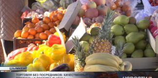 Альтернатива рынкам и супермаркетам: как работает сельхозярмарка в Шымкенте