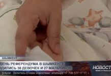 В день референдума в Шымкенте родились 65 малышей