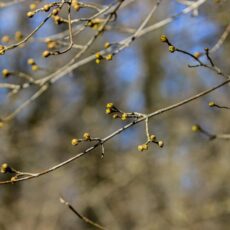 В Казахстане установится тёплая весенняя погода