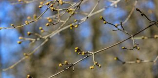 В Казахстане установится тёплая весенняя погода